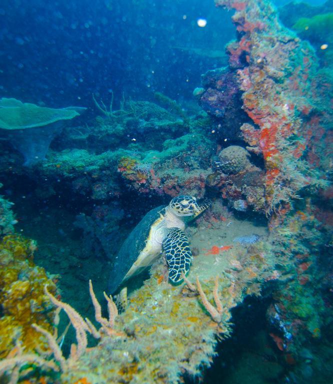 Resort Chindonan Dive And 3*