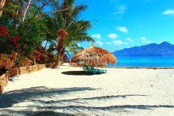 Resort Chindonan Dive And Coron